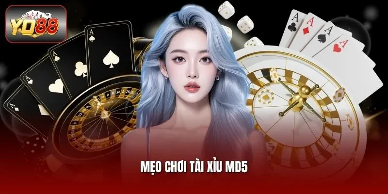 Mẹo chơi tài xỉu MD5