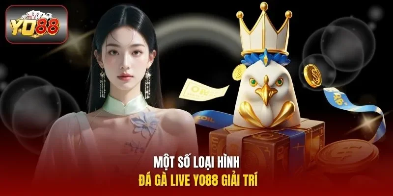 Một số loại hình đá gà live Yo88 giải trí